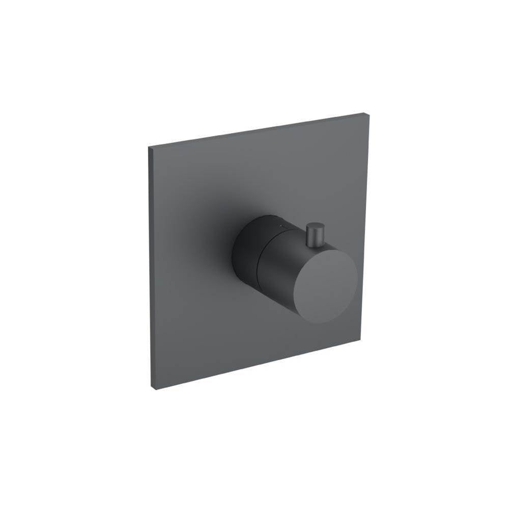 Flusso Serie 100 100.4201T Trim For 3/4" Thermostatic Valve - Use with TVH.4201