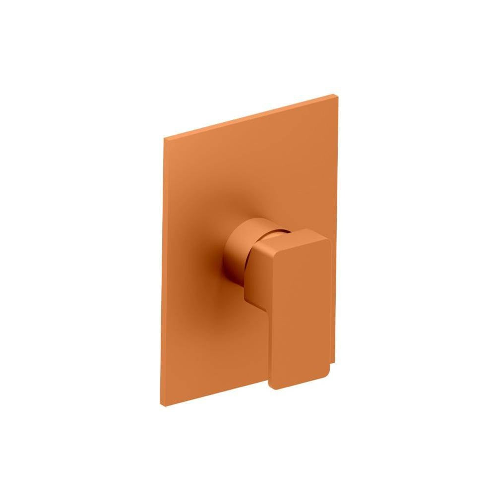 Flusso Serie 196 196.2200T Shower Trim & Handle - Use With PBV1005AS
