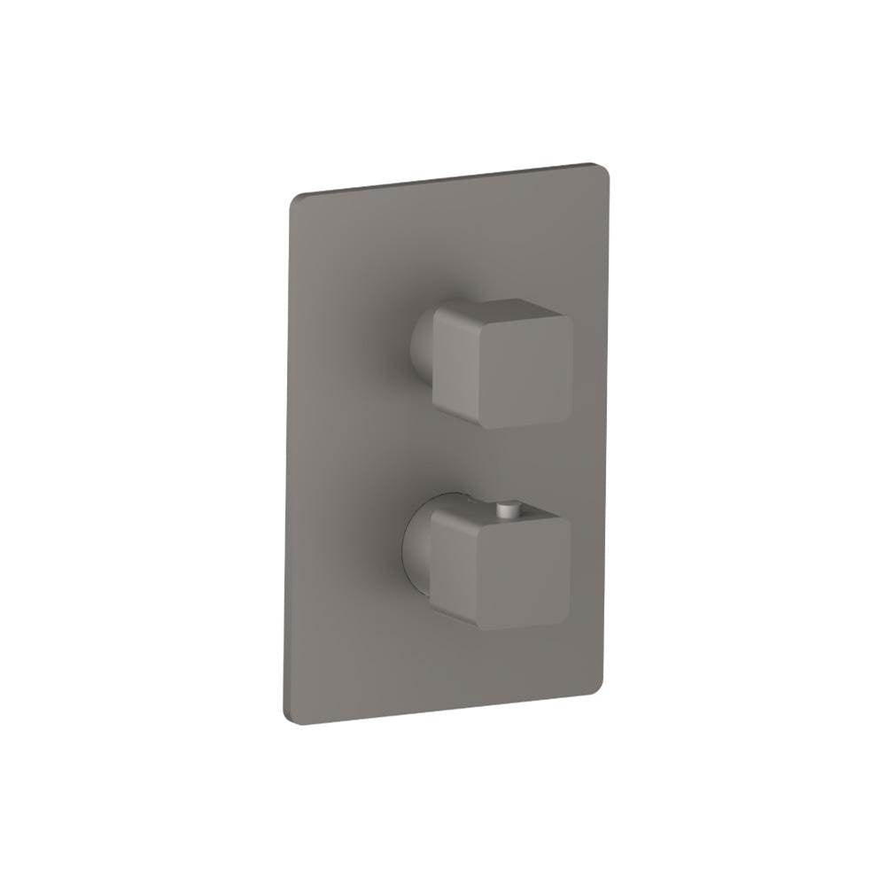 Flusso Serie 196 196.4421 3/4 " Thermostatic Valve & Trim - With 2-Way Diverter - 2 Output