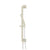 Flusso SHS.2018 Hand Shower Set with Slide Bar, Integrated Elbow & Hose