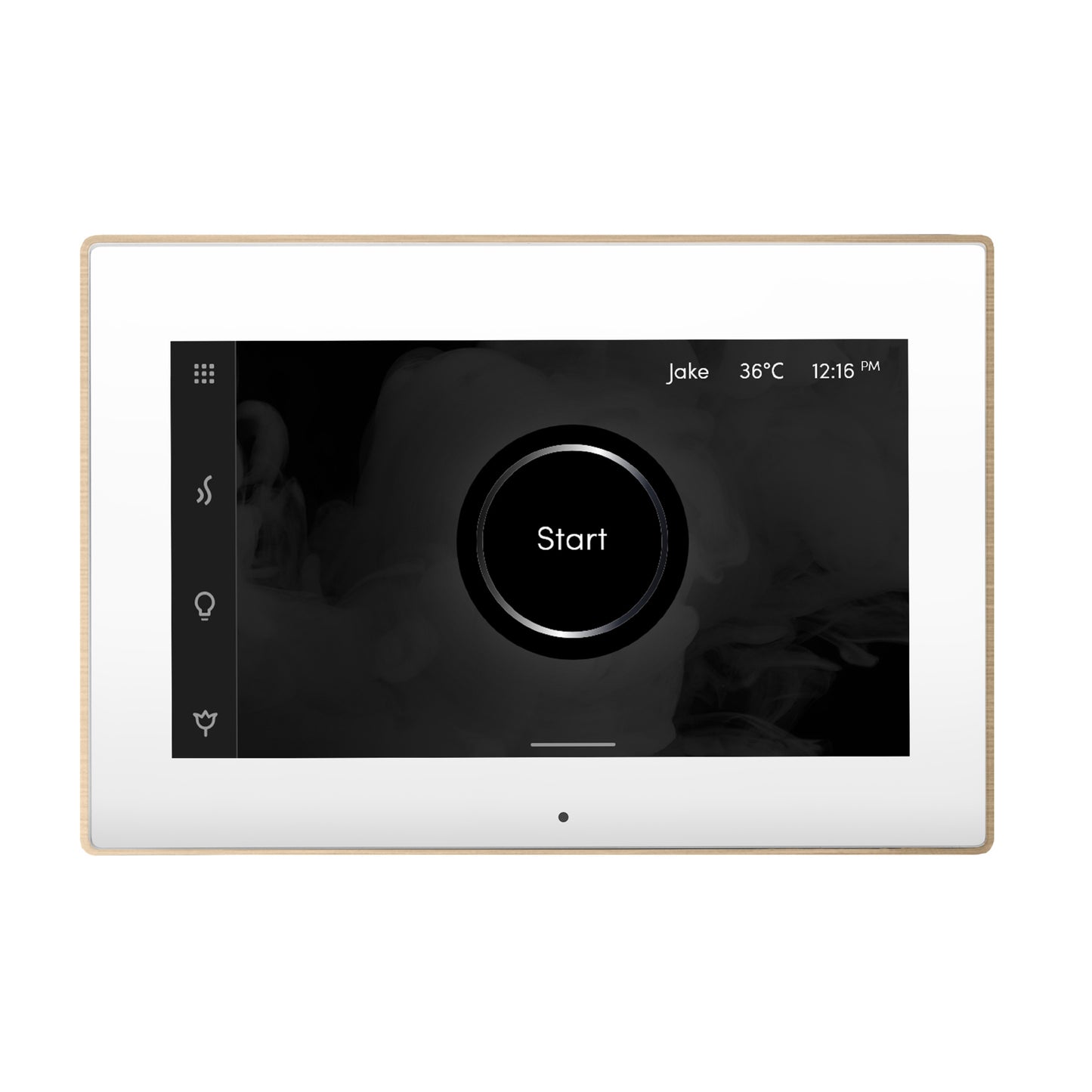 Mr. Steam ISX iSteamX Steam Shower Control and Steamhead