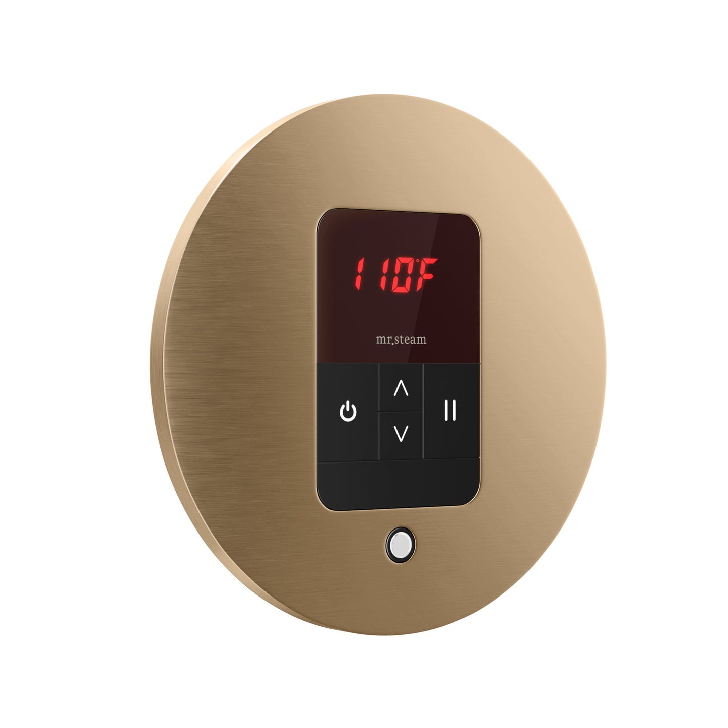 Mr. Steam ITRD iTempo Round Steam Shower Control and Steamhead - Parent
