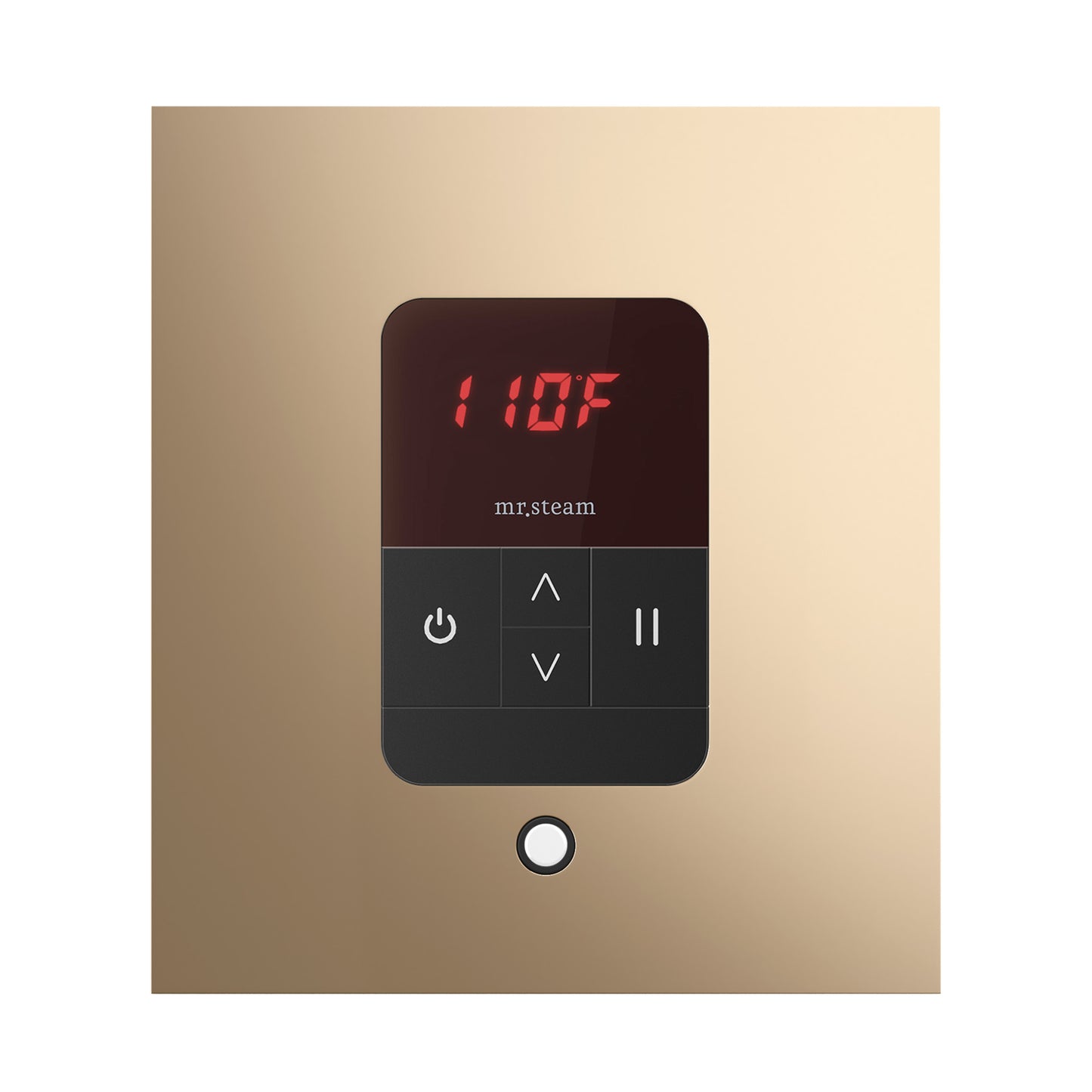 Mr. Steam ITSQ iTempo Square Steam Shower Control and Steamhead
