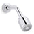 Kallista P21386-00 Central Park West Showerhead With Arm