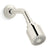 Kallista P21386-00 Central Park West Showerhead With Arm