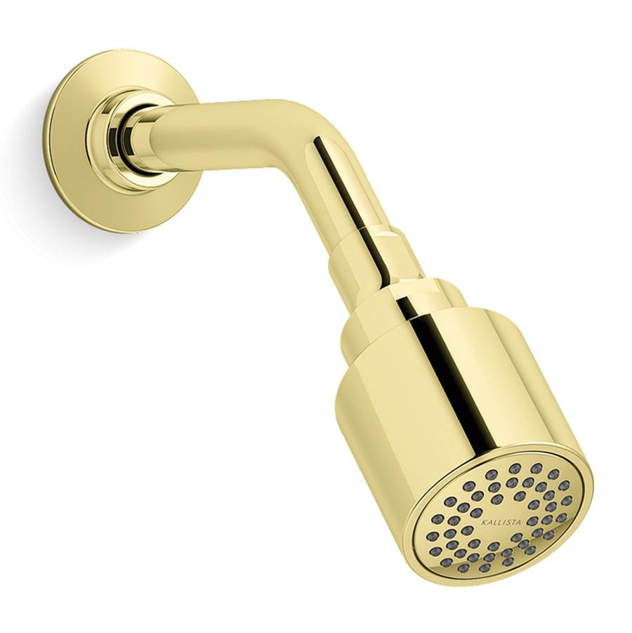 Kallista P21386-00 Central Park West Showerhead With Arm