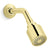 Kallista P21386-00 Central Park West Showerhead With Arm