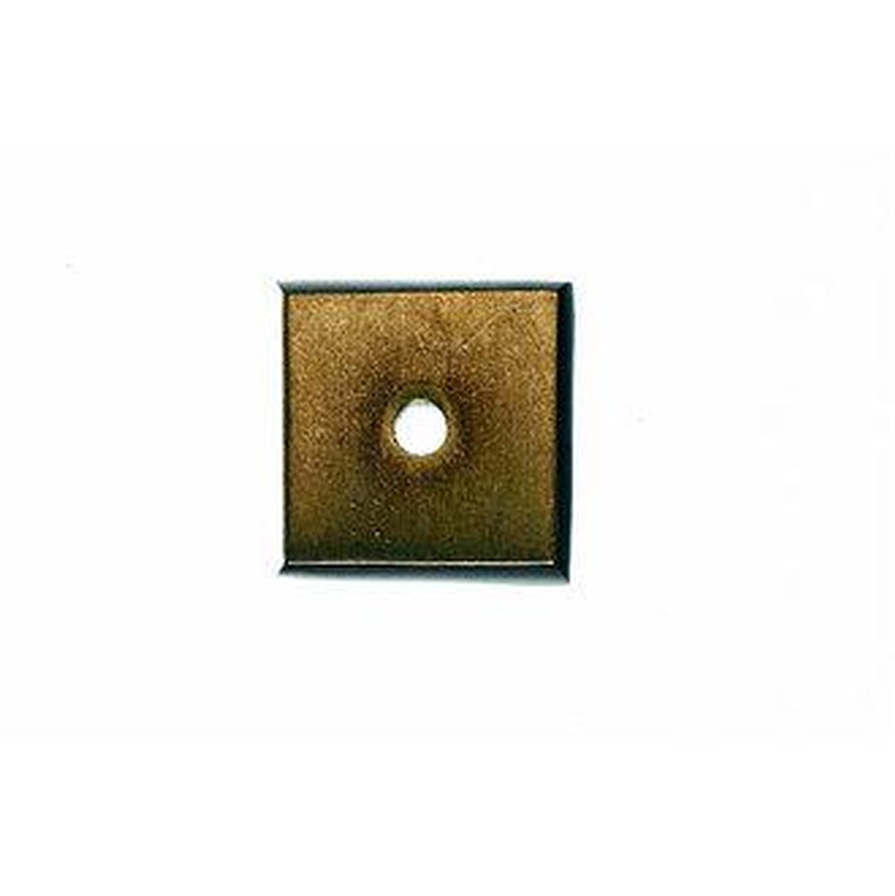 Top Knobs Aspen Square Backplate