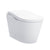 Toto MS8732CUMFGB Neorest LS Dual Flush 1.0 Or 0.8 Gf Integrated Bidet Toilet With Black Trim