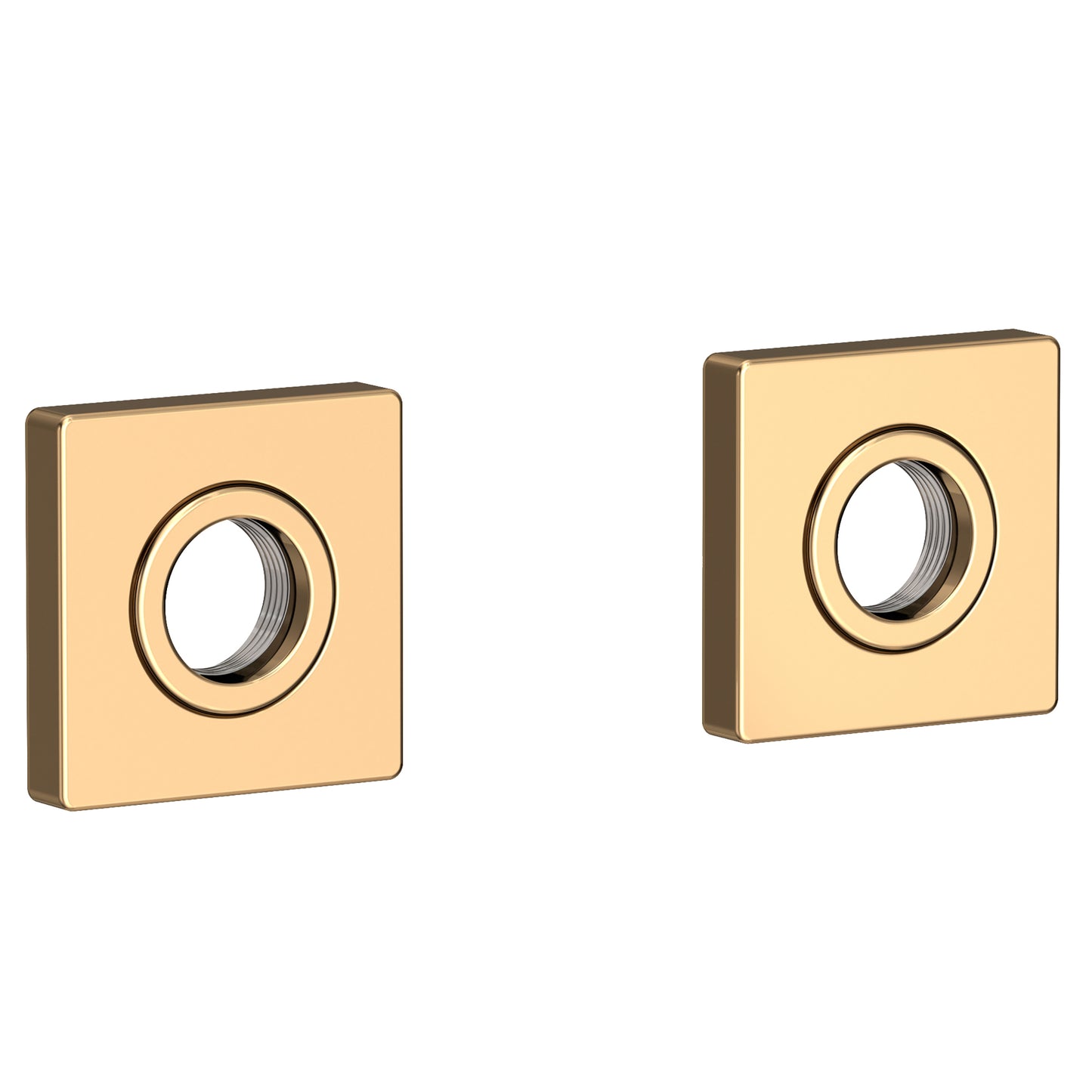 Newport Brass 2040-2400 Secant Grab Bar Decorative Rings & Mounting Kit