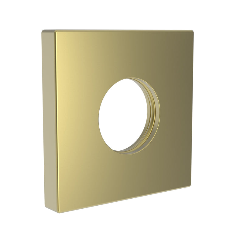 Newport Brass 206-301 Shower Arm Flange