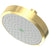 Newport Brass 2141 Single Function Shower Head
