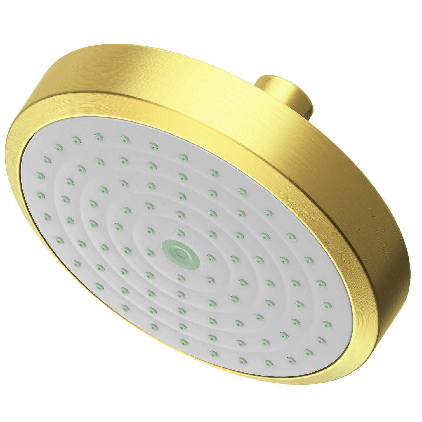 Newport Brass 2141 Single Function Shower Head