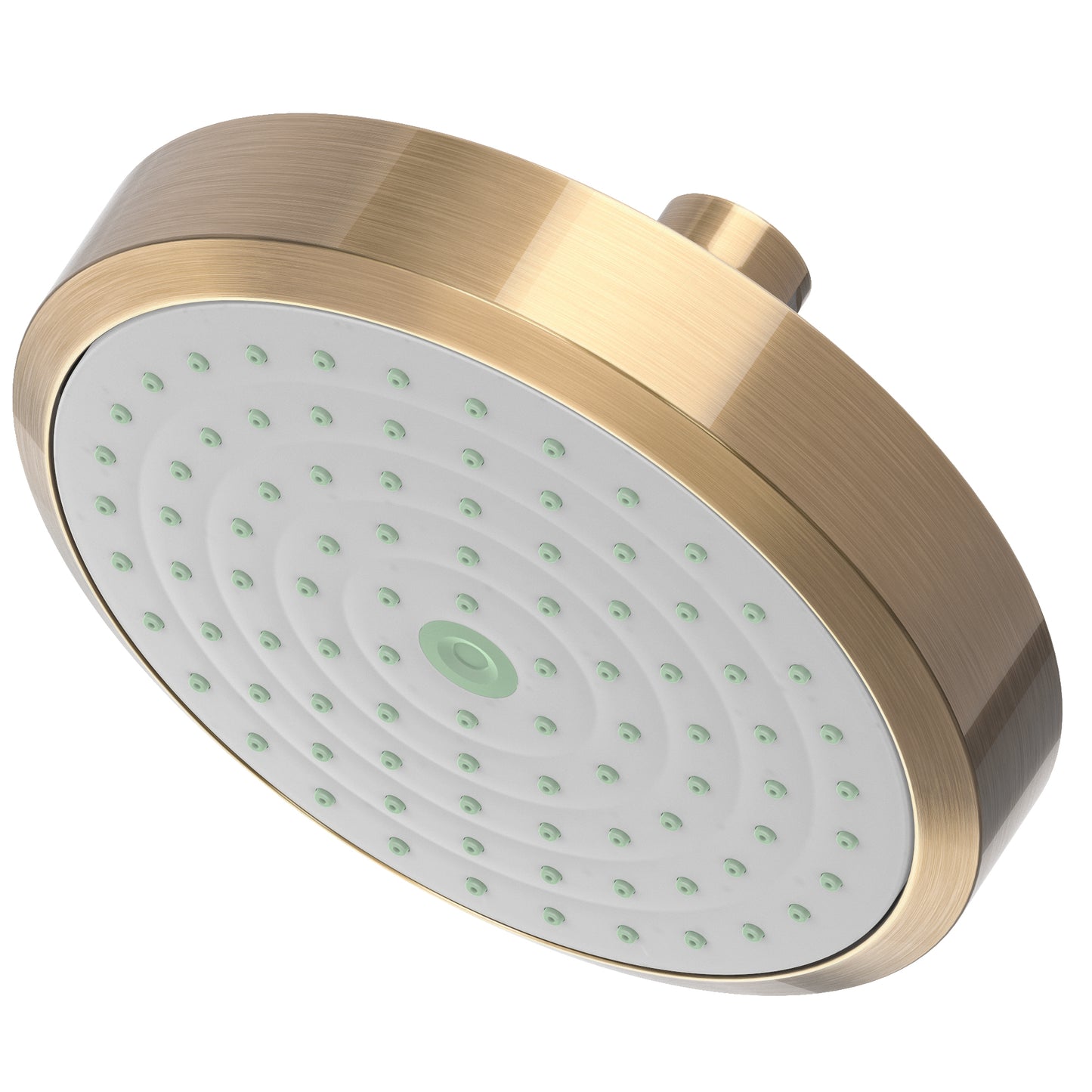 Newport Brass 2141 Single Function Shower Head
