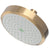 Newport Brass 2141 Single Function Shower Head