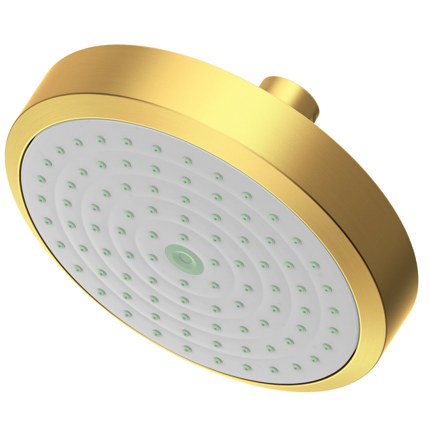 Newport Brass 2141 Single Function Shower Head