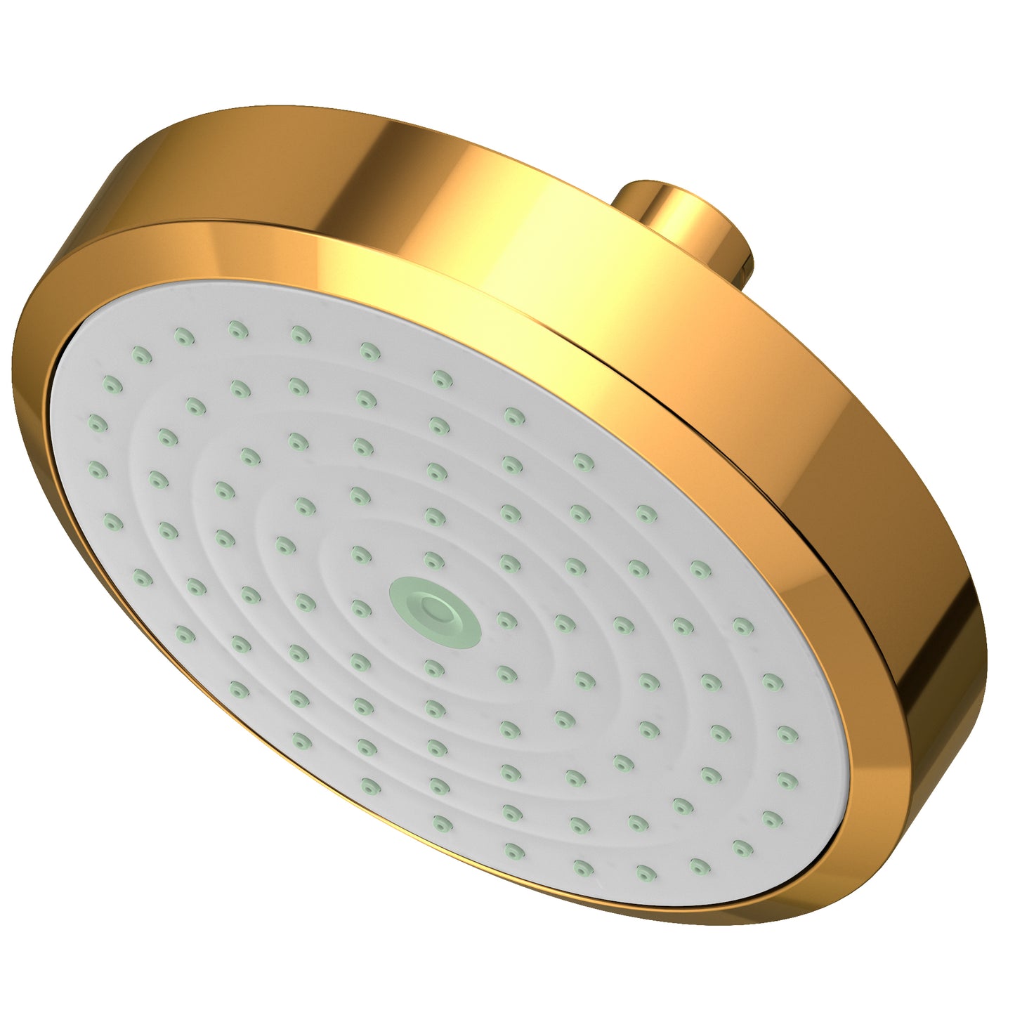 Newport Brass 2141 Single Function Shower Head