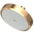Newport Brass 2141 Single Function Shower Head