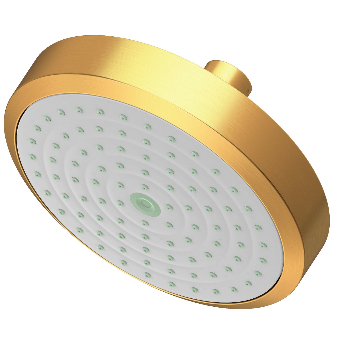 Newport Brass 2141 Single Function Shower Head