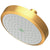 Newport Brass 2141 Single Function Shower Head