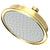 Newport Brass 2142 Single Function Shower Head