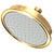 Newport Brass 2142 Single Function Shower Head