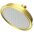 Newport Brass 2142 Single Function Shower Head