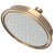 Newport Brass 2142 Single Function Shower Head