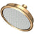 Newport Brass 2142 Single Function Shower Head