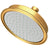 Newport Brass 2142 Single Function Shower Head