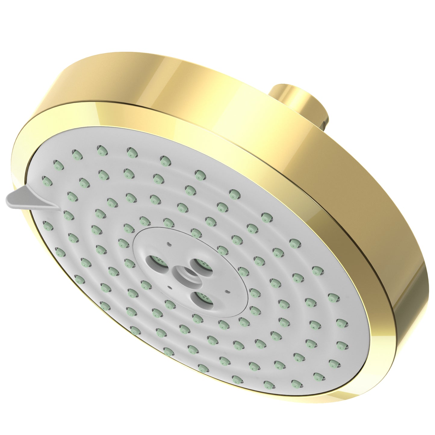 Newport Brass 2143 Multifunction Showerhead