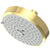Newport Brass 2143 Multifunction Showerhead
