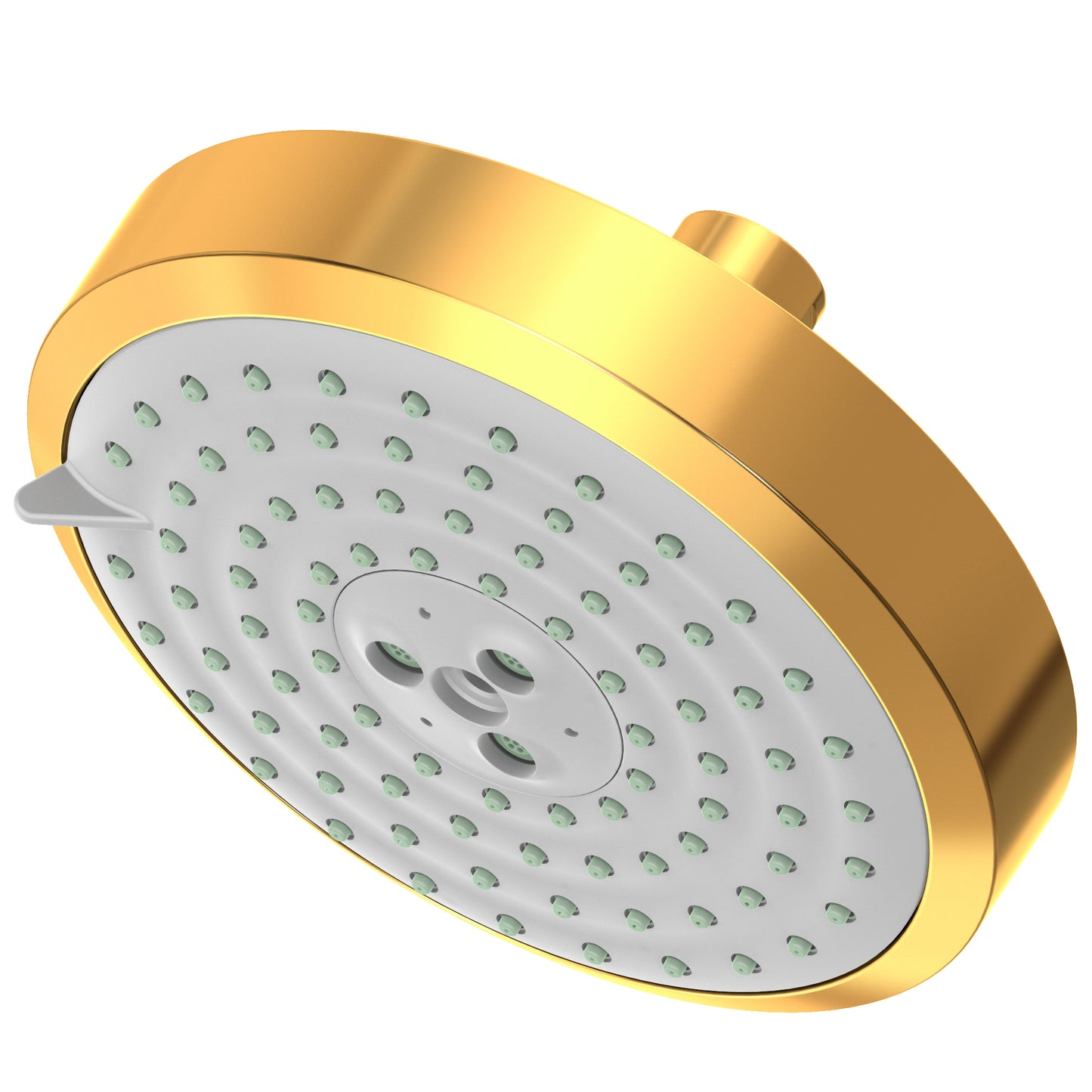 Newport Brass 2143 Multifunction Showerhead