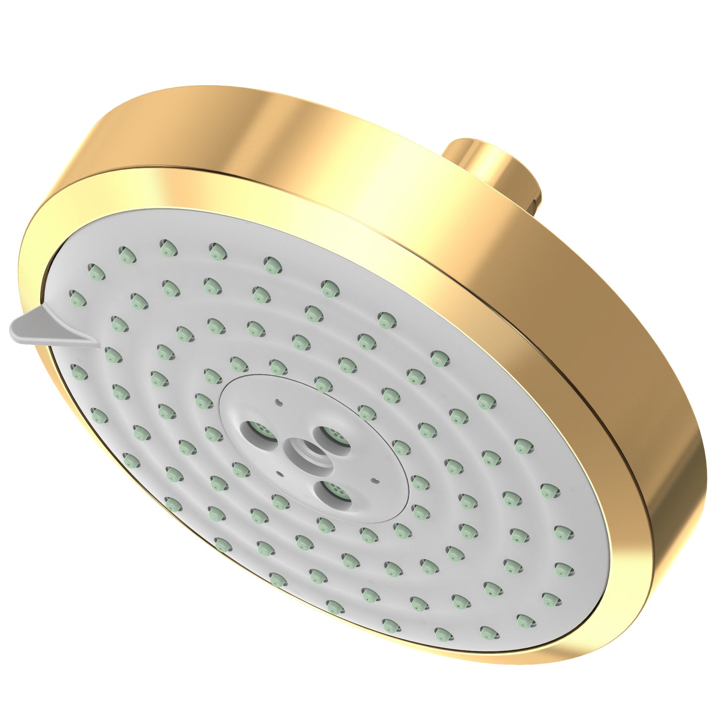 Newport Brass 2143 Multifunction Showerhead