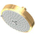 Newport Brass 2143 Multifunction Showerhead
