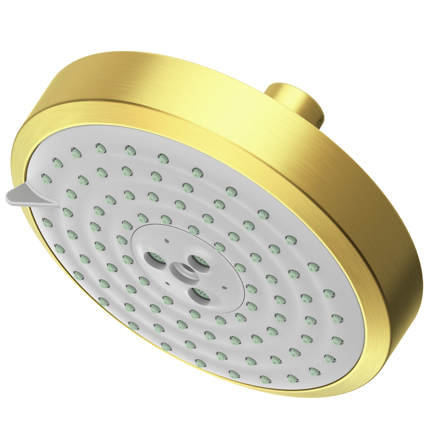 Newport Brass 2143 Multifunction Showerhead