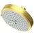 Newport Brass 2143 Multifunction Showerhead