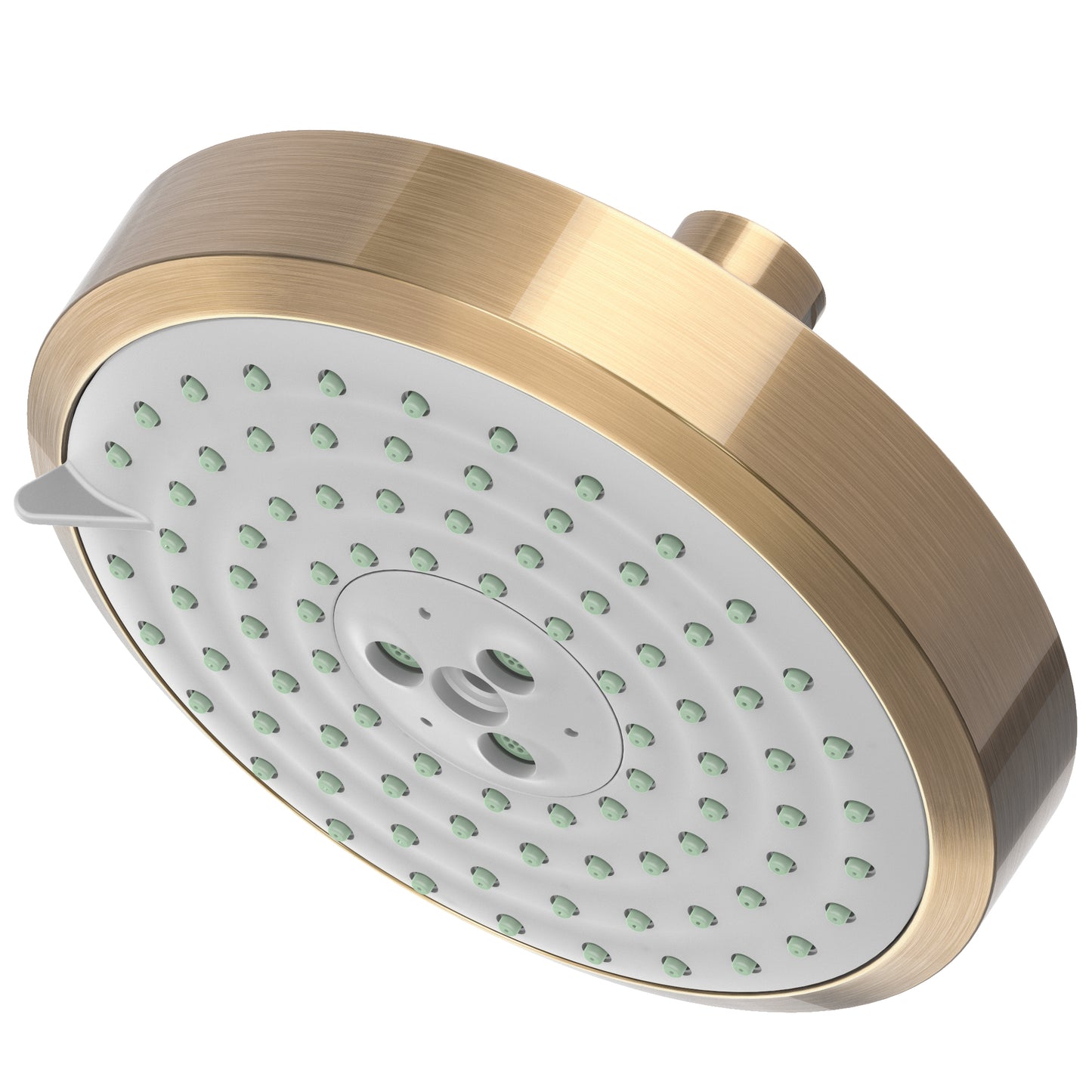 Newport Brass 2143 Multifunction Showerhead
