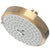 Newport Brass 2143 Multifunction Showerhead