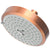 Newport Brass 2143 Multifunction Showerhead