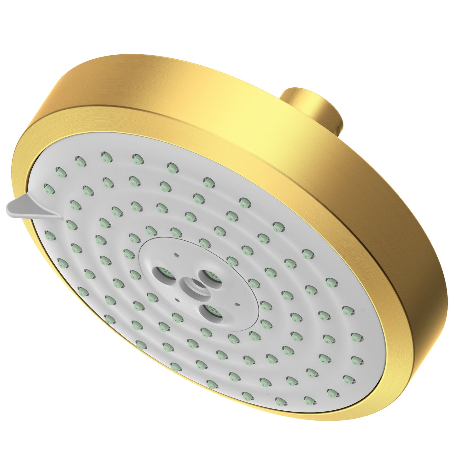 Newport Brass 2143 Multifunction Showerhead
