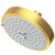 Newport Brass 2143 Multifunction Showerhead
