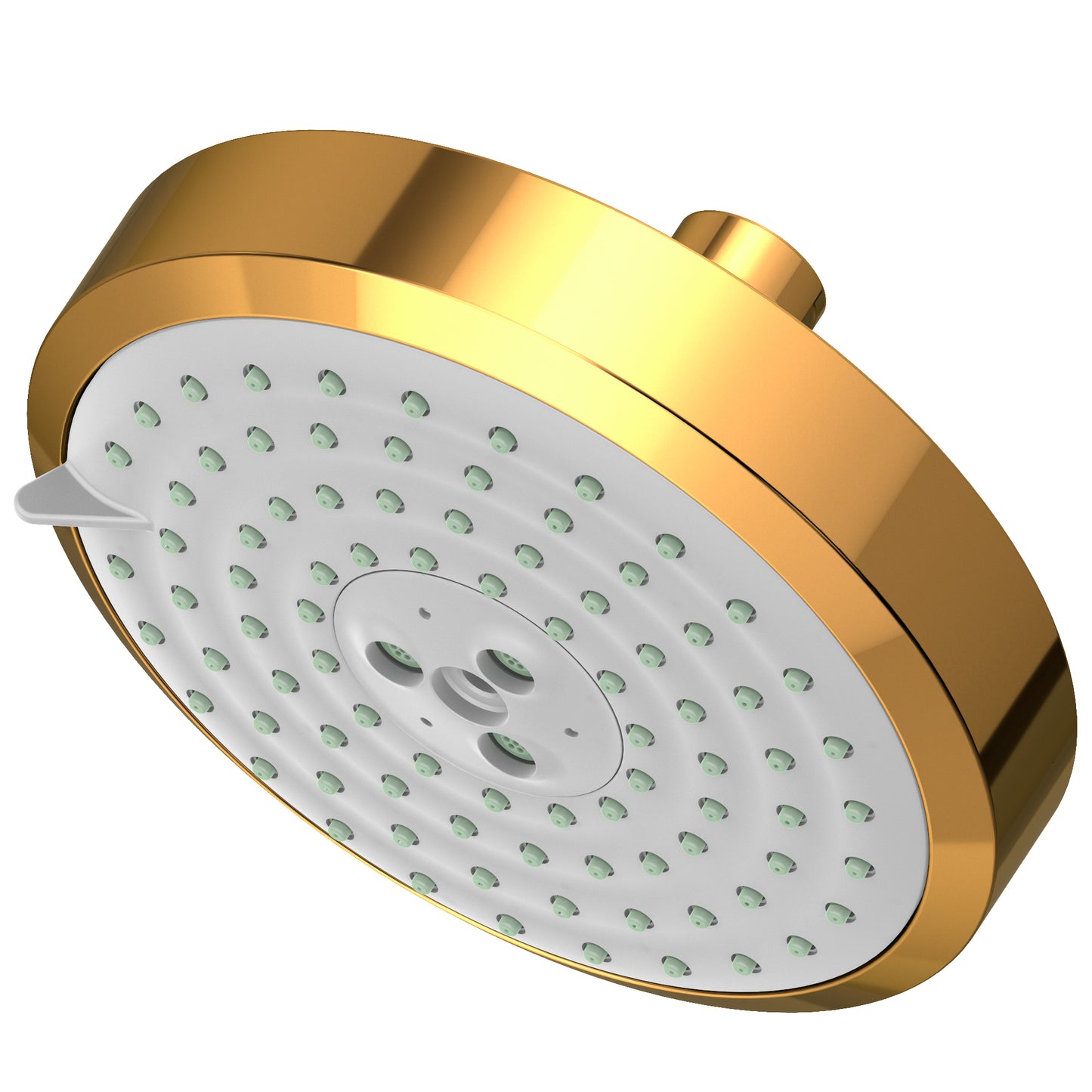 Newport Brass 2143 Multifunction Showerhead