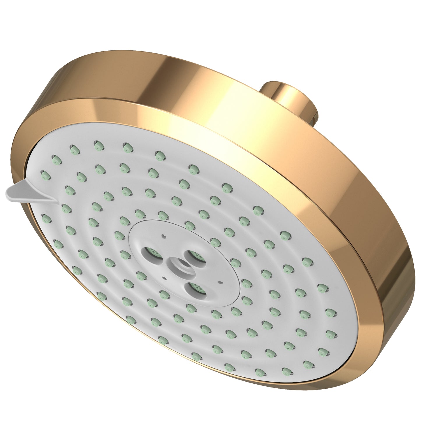 Newport Brass 2143 Multifunction Showerhead