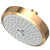 Newport Brass 2143 Multifunction Showerhead