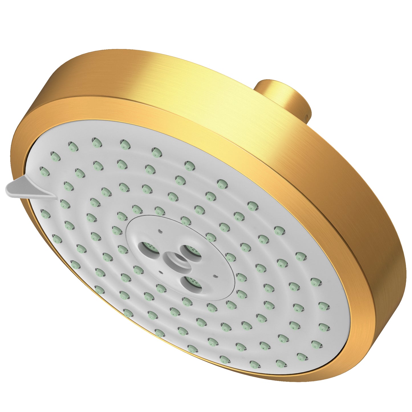 Newport Brass 2143 Multifunction Showerhead