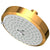 Newport Brass 2143 Multifunction Showerhead