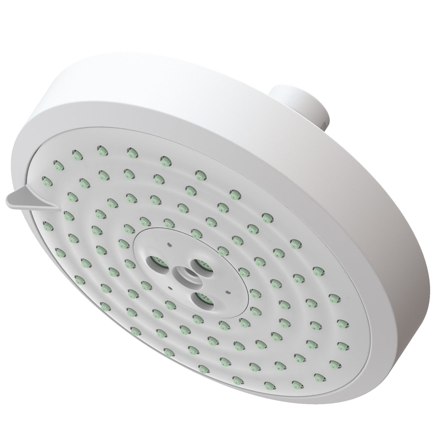 Newport Brass 2143 Multifunction Showerhead