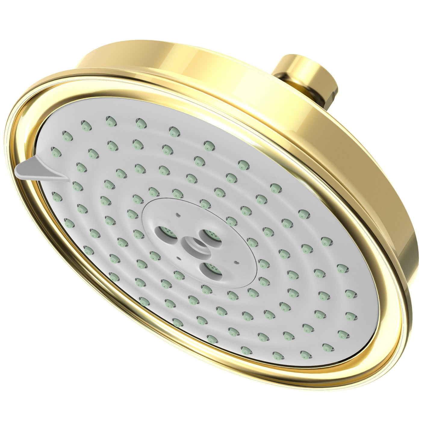 Newport Brass 2144 Multifunction Showerhead