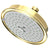 Newport Brass 2144 Multifunction Showerhead